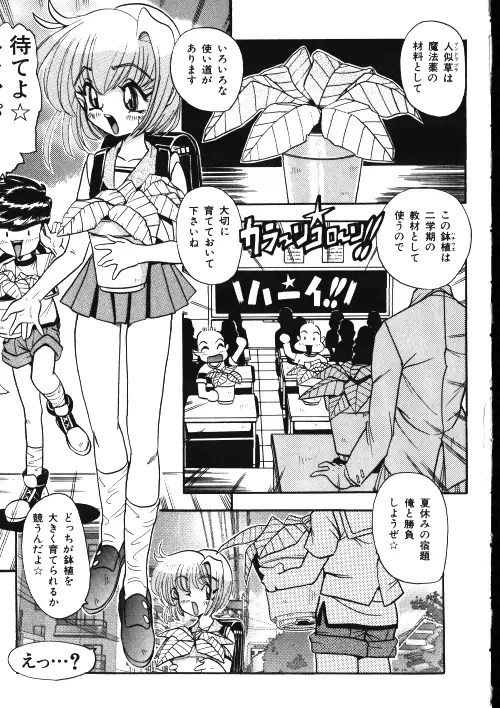 メイドさん計画 Page.29