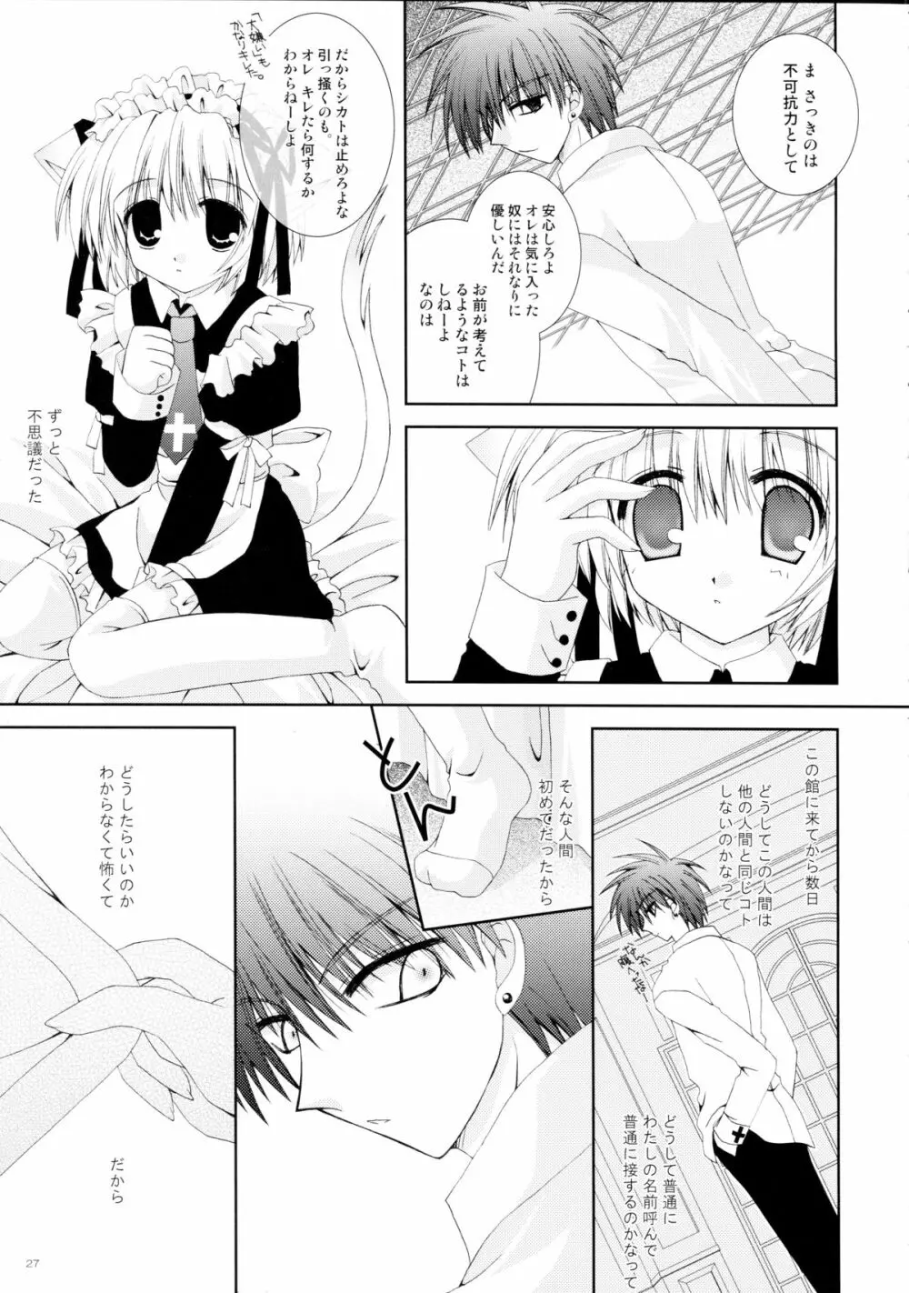 仔猫いぢめ Page.27