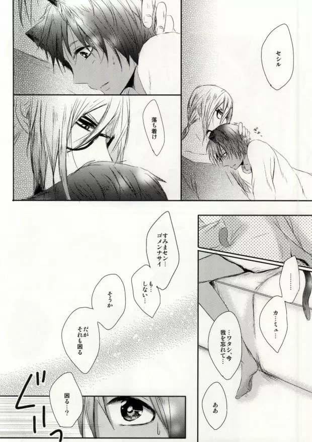 ア・ハウス・キャット Page.17