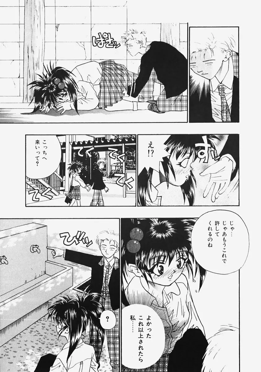 秘密の恋物語 Page.17