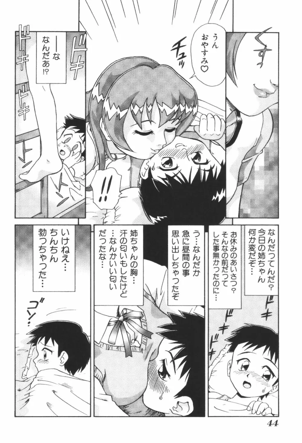 姉弟恋歌2 Page.46
