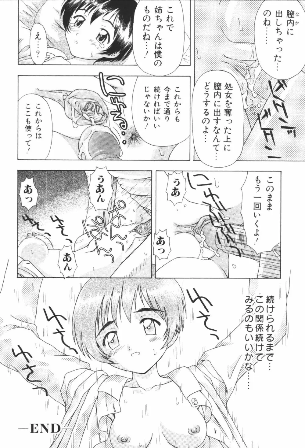 姉弟恋歌4 Page.182