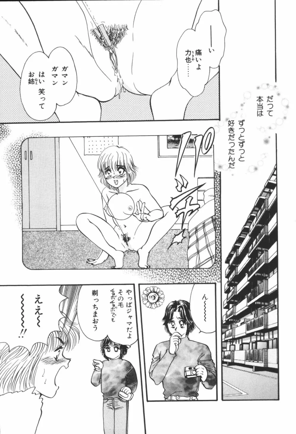 姉弟恋歌4 Page.231