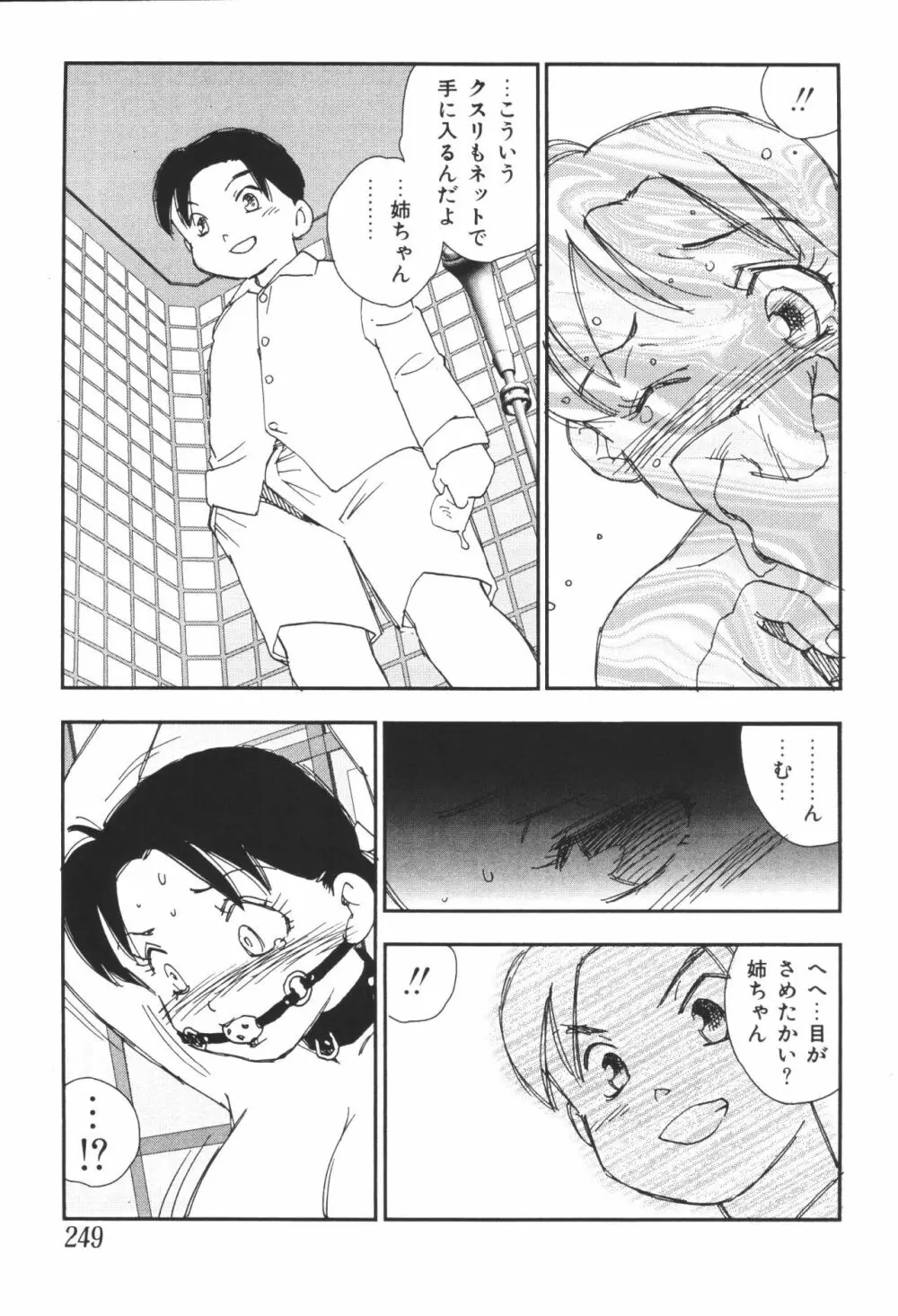 姉弟恋歌4 Page.251