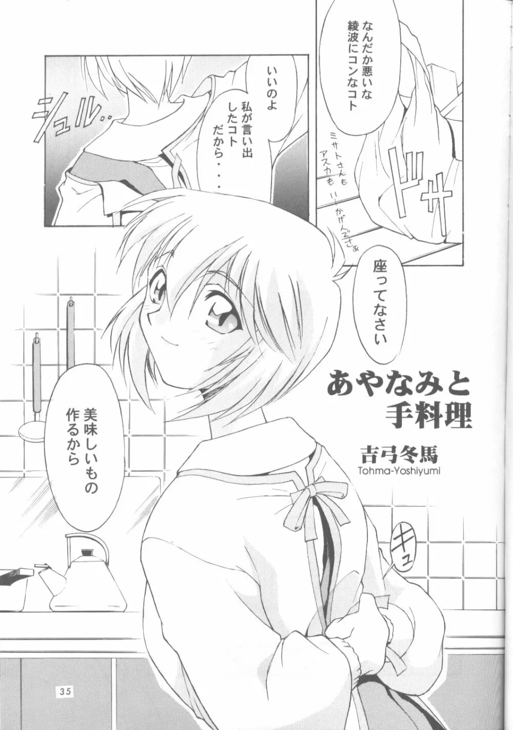綾波零式 Ayanami Zero Spec Page.34
