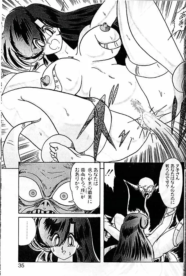 精霊特捜フェアリィセイバー 影闘編 Page.31