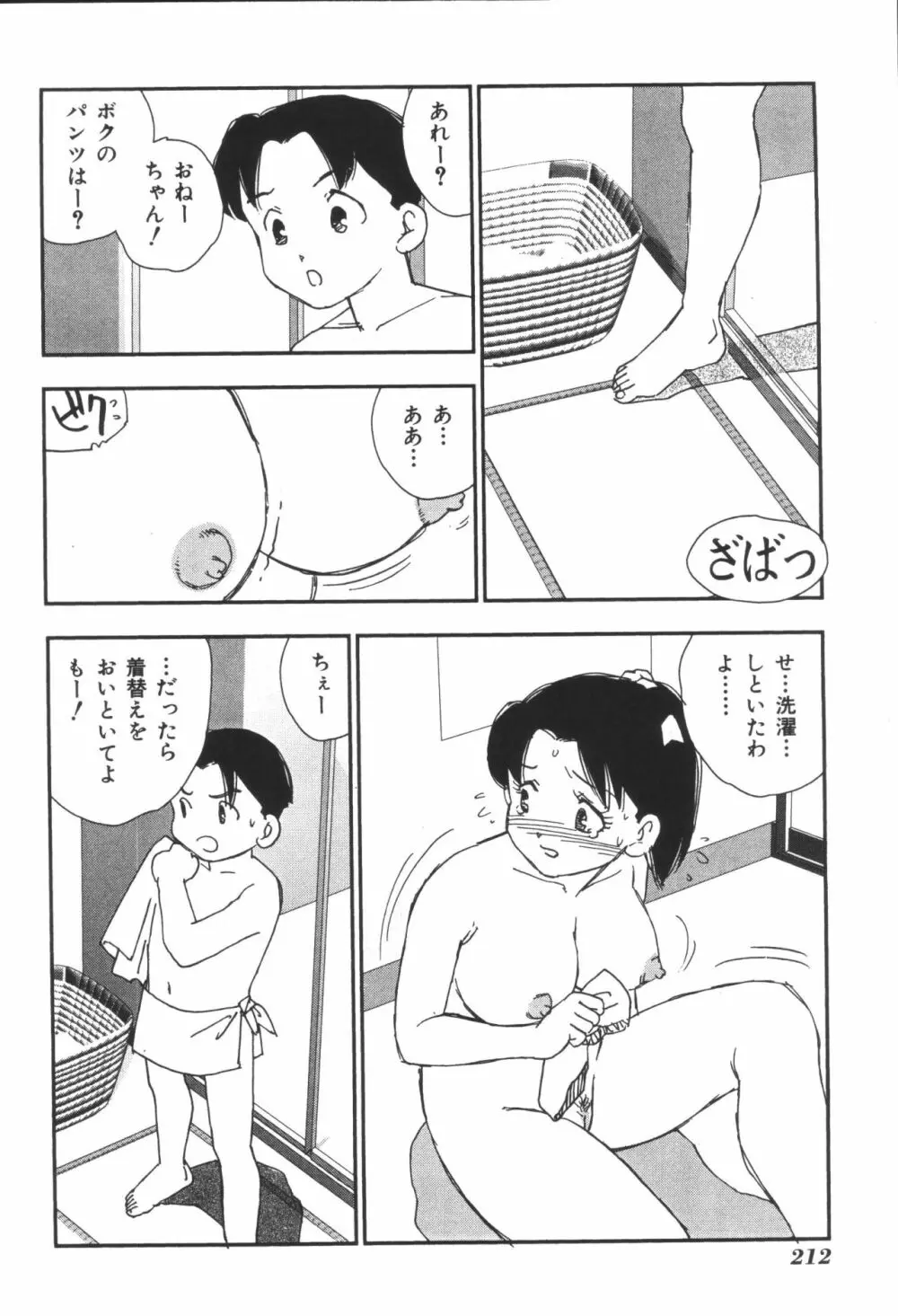 姉弟恋歌3 Page.214