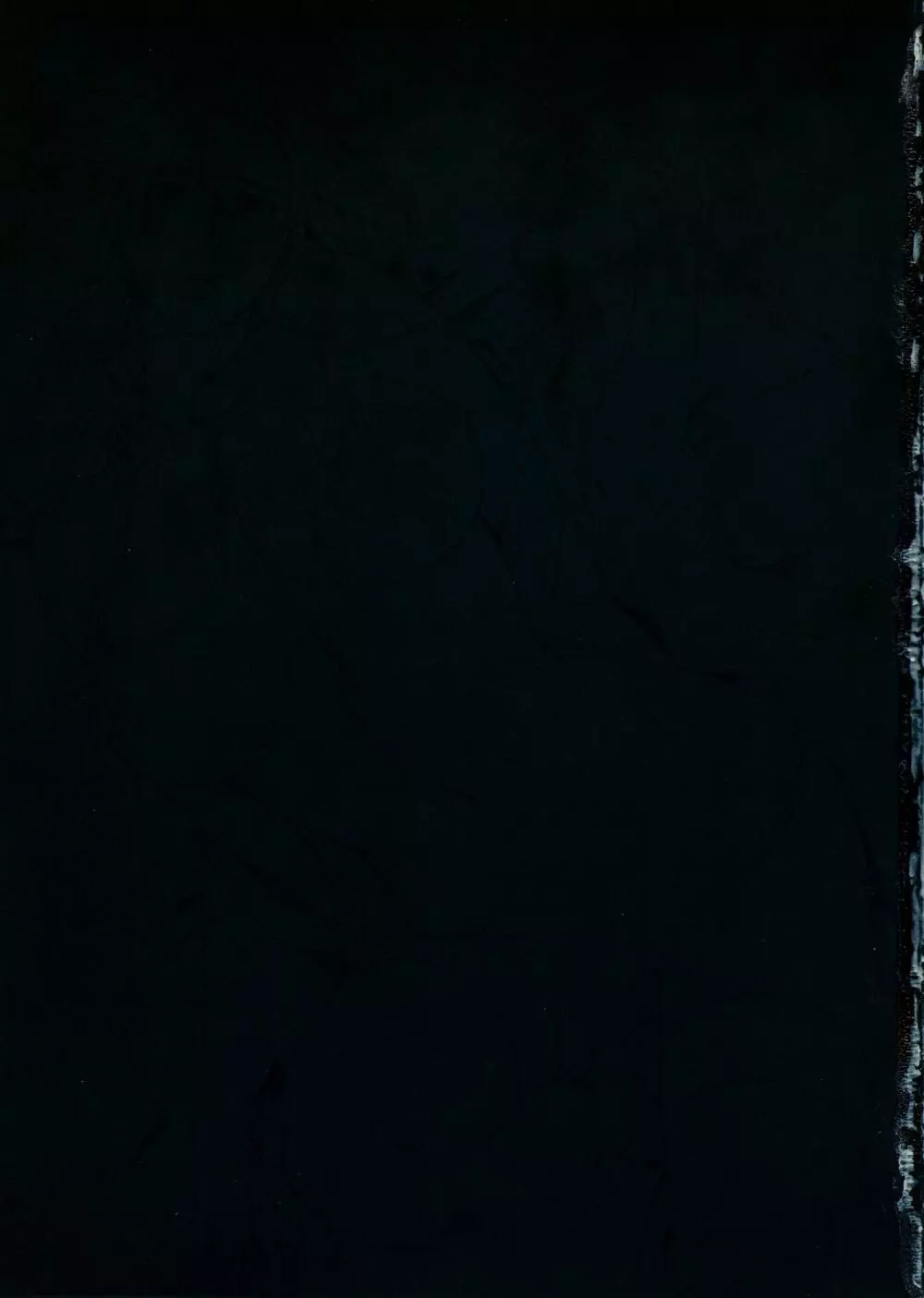[織田non] NON VIRGIN 【Limited Edition】 CHRONICLE-FULLCOLOR BOOKLET-SIDE:MELON + Postcard Page.44