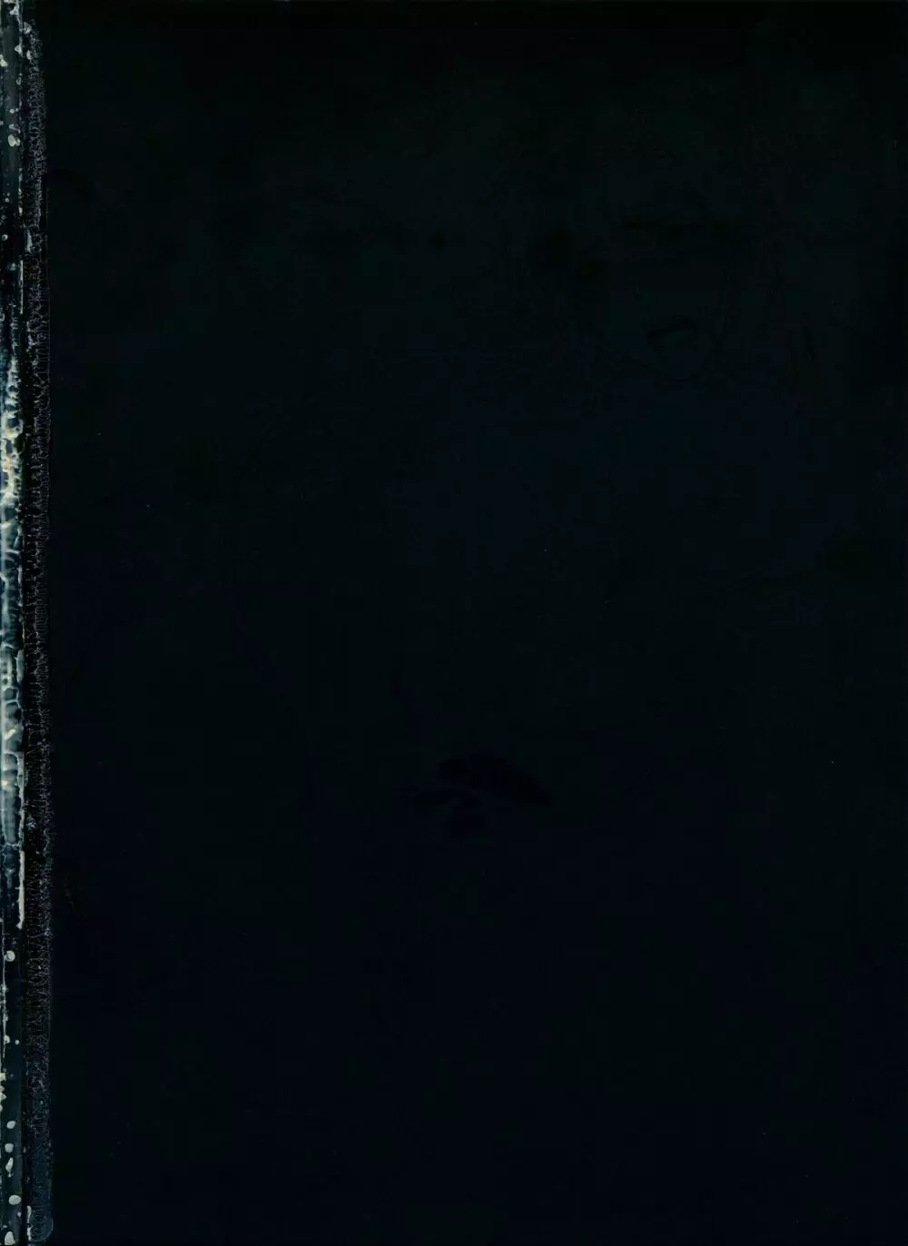 [織田non] NON VIRGIN 【Limited Edition】 CHRONICLE-FULLCOLOR BOOKLET-SIDE:MELON + NON VIRGIN LINE WORKS + Postcard Page.44