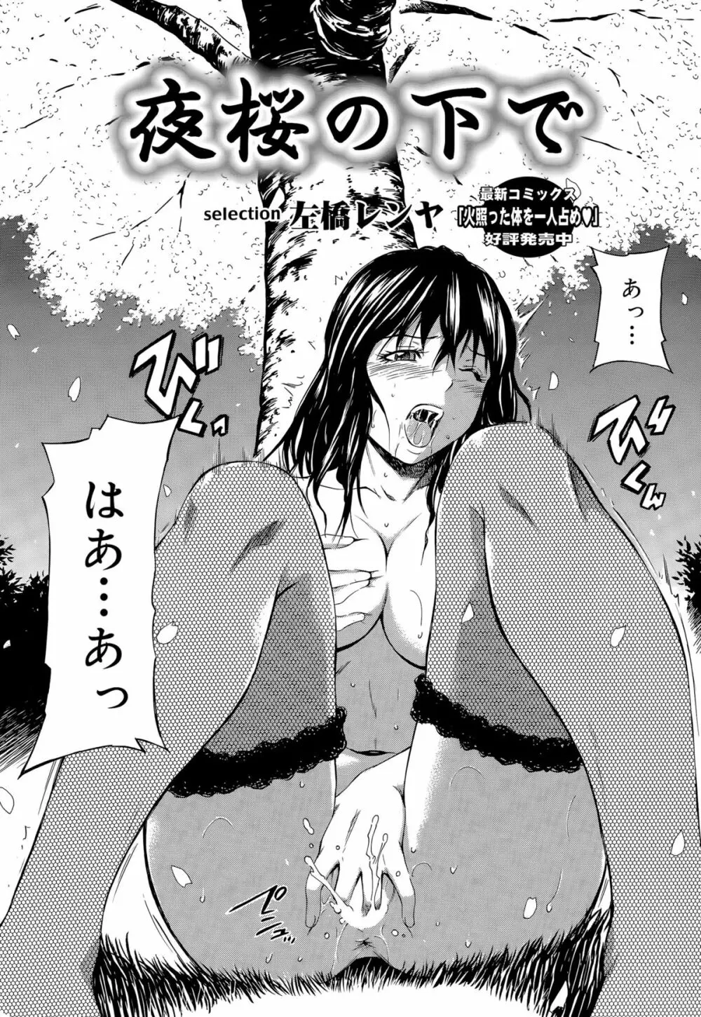 COMIC Sigma 2015年5月号 Page.244
