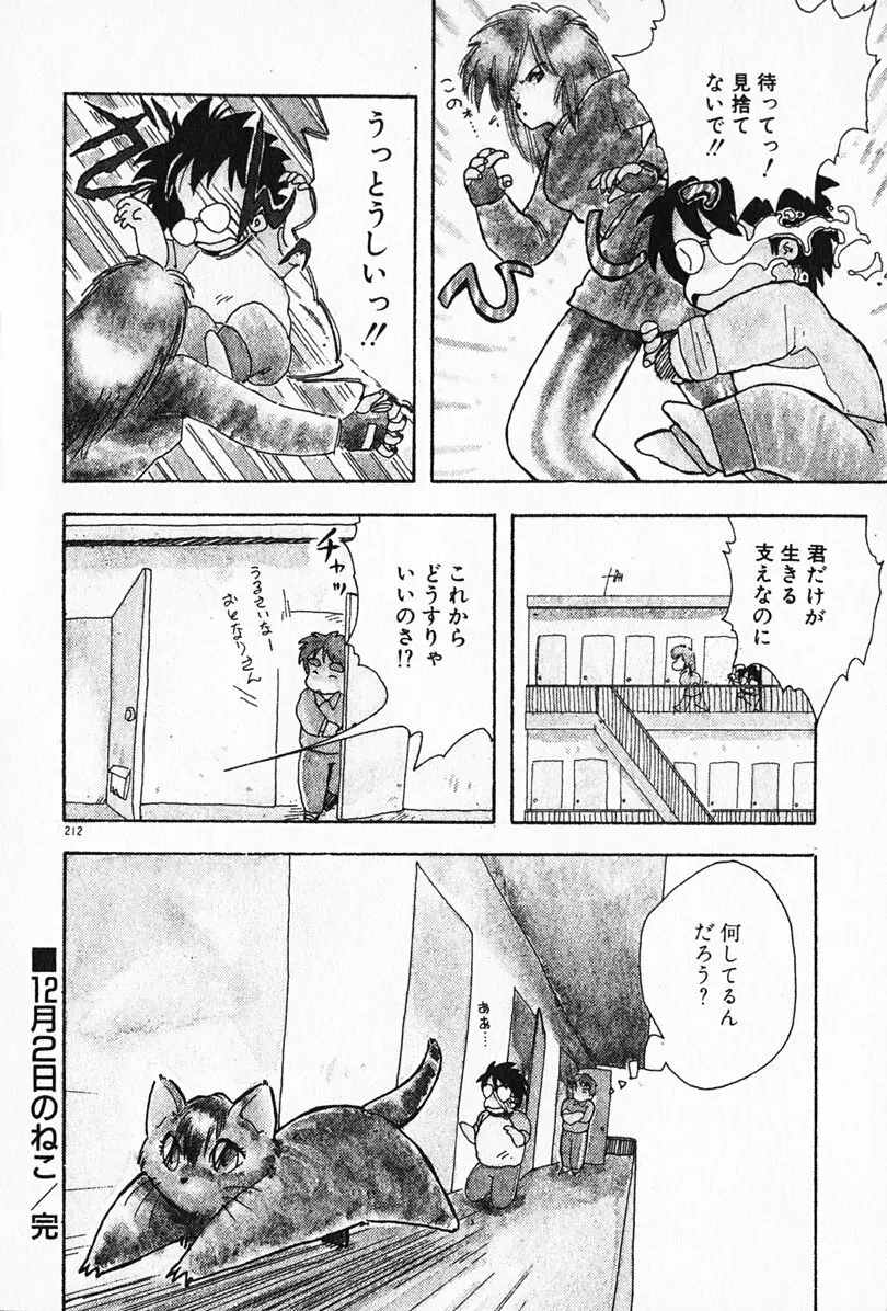 家庭教師☆小夜香 Page.213