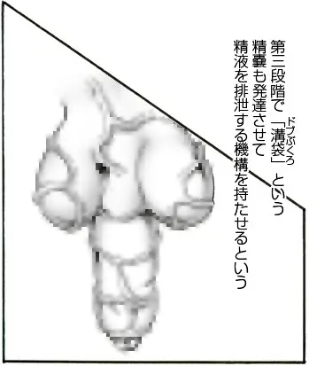 CORRUPT&ROTTENキューティリディの腐肉のアンドゥイユ「その三」 Page.23