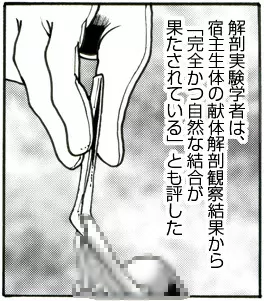 CORRUPT&ROTTENキューティリディの腐肉のアンドゥイユ「その三」 Page.24