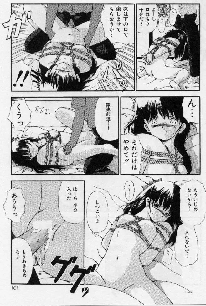 堕ちた果実たち Page.101