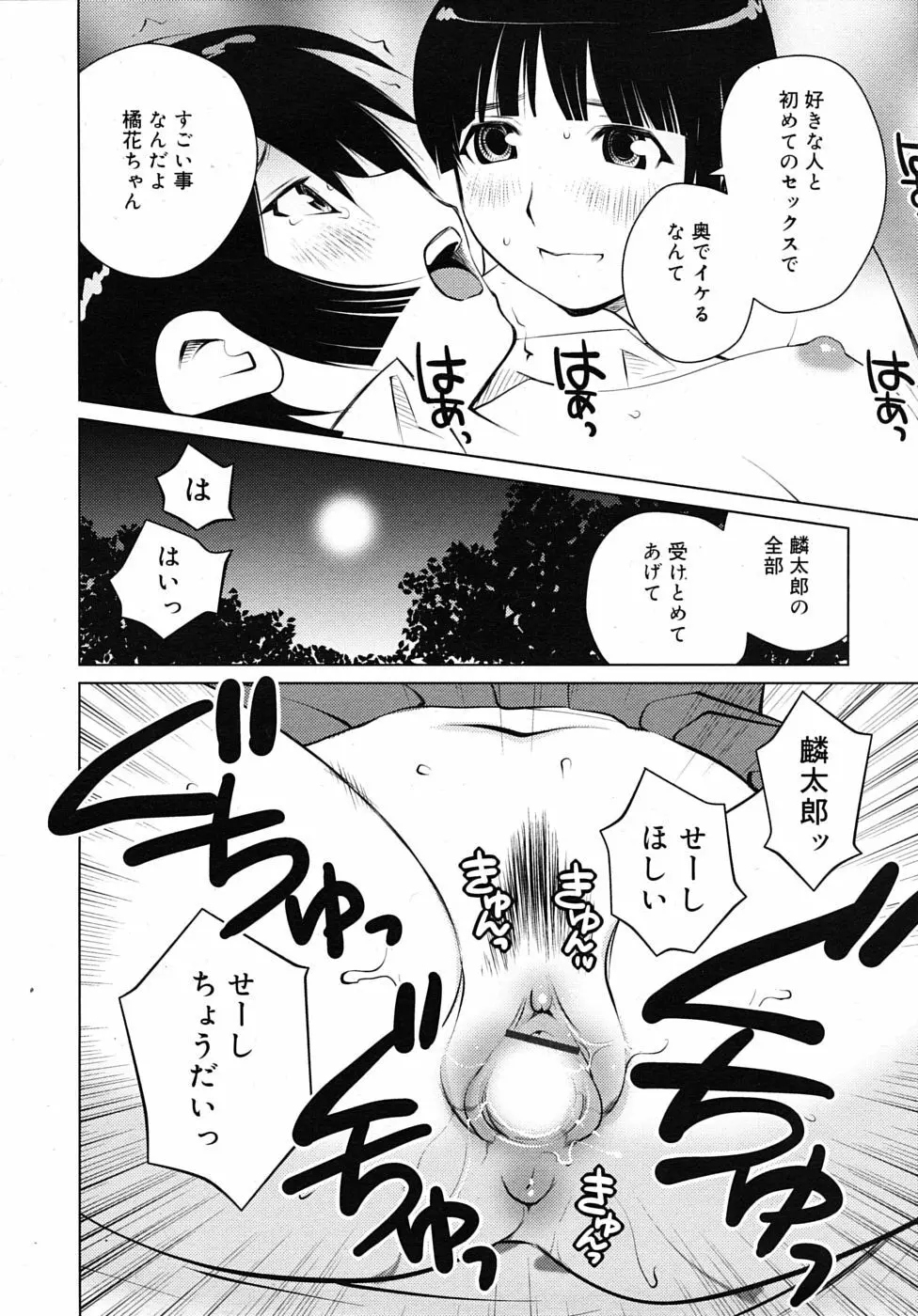 橘花繚乱 Page.18