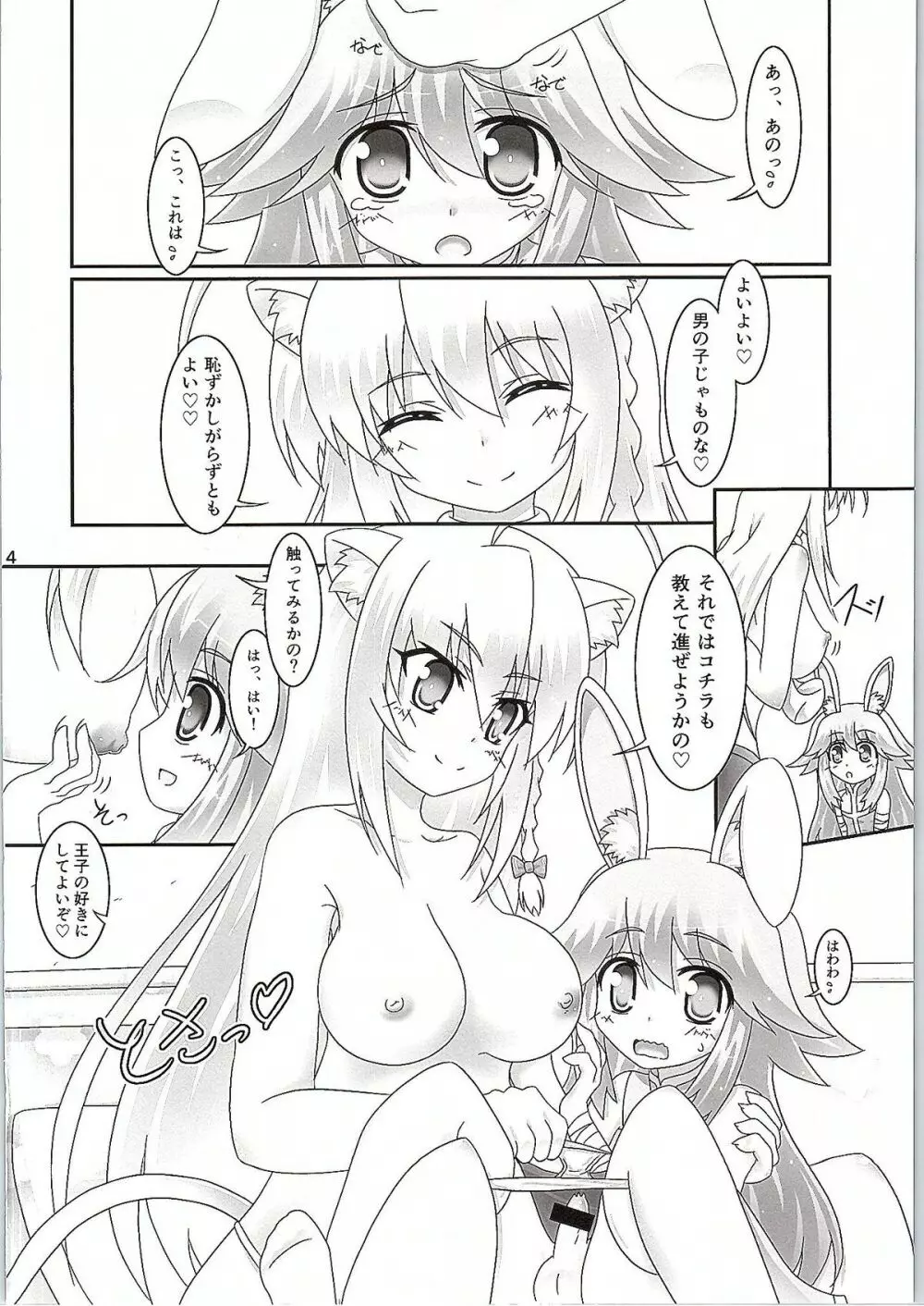 ウサミミ王子に剣だけでなく××まで教えちゃう本。 Page.3