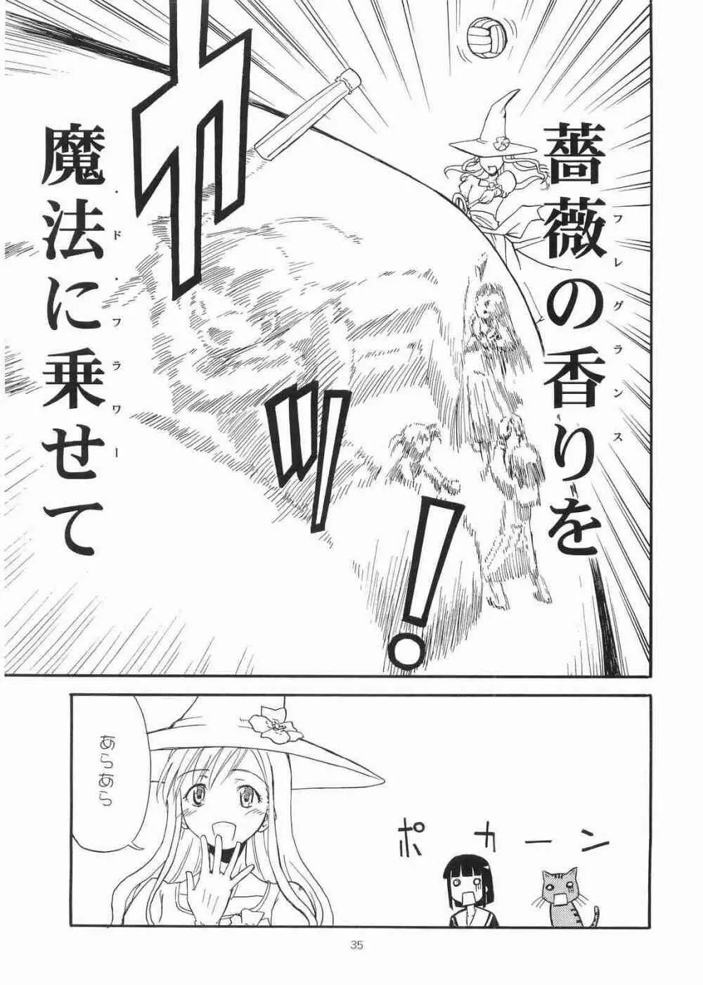 薔薇の香りを魔法に乗せて届くといいなあなたの心へ Page.34