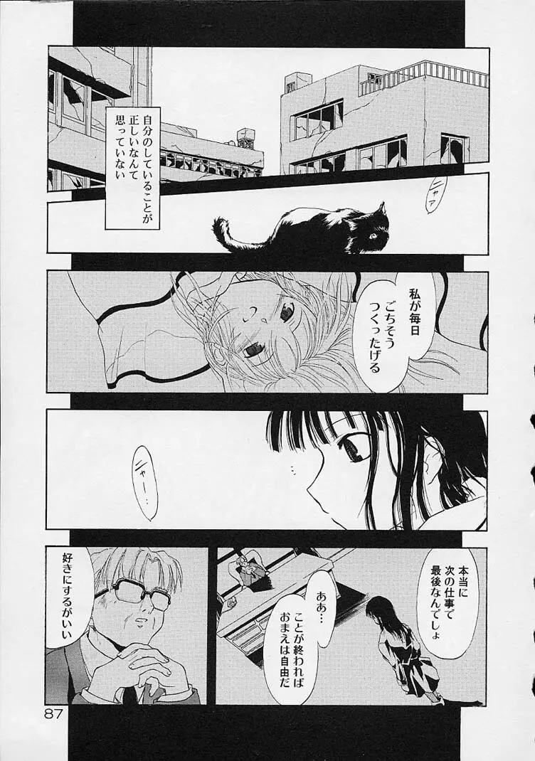 猫飯 ねこまんま Page.88