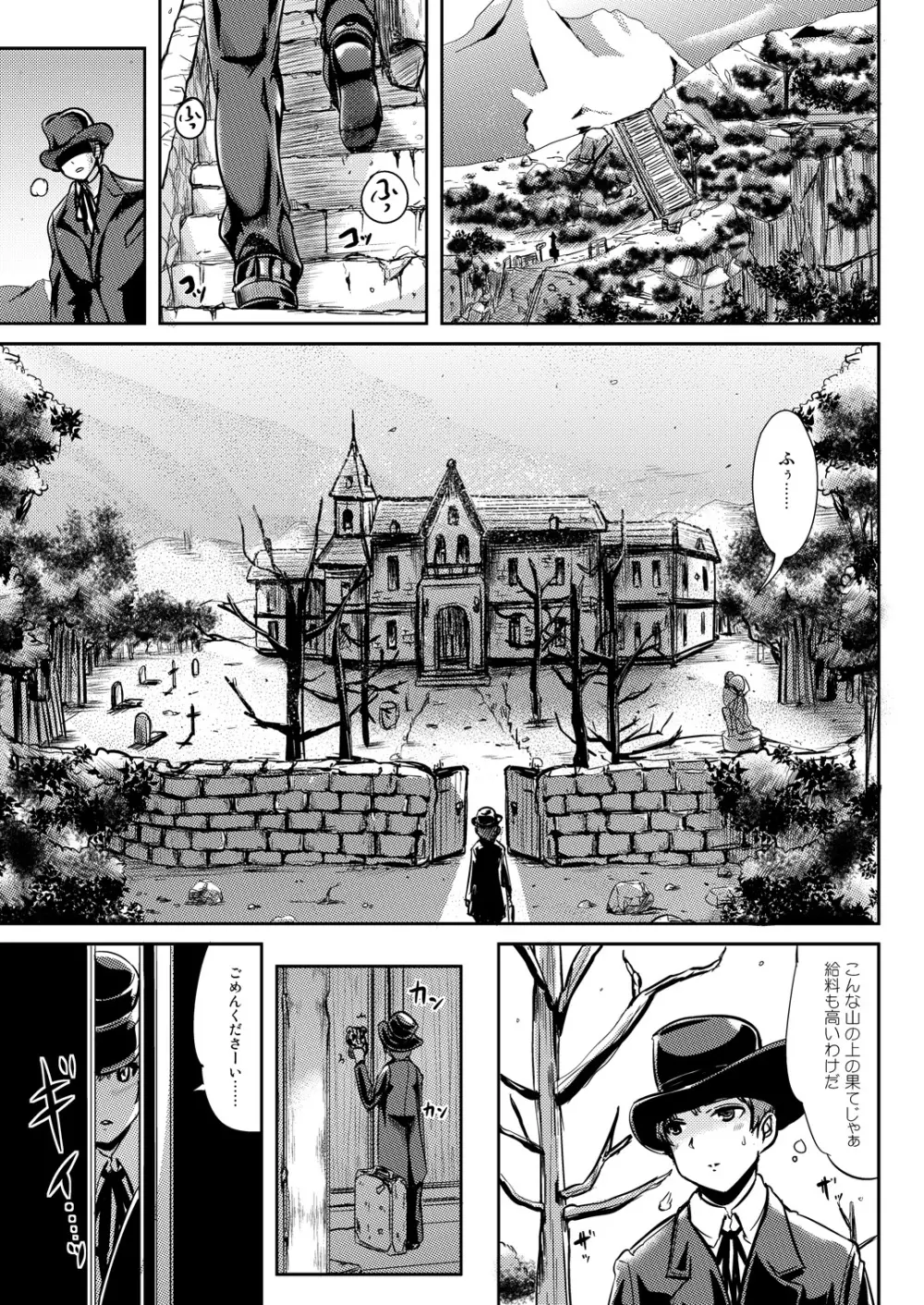 Maiden Carnation Page.2