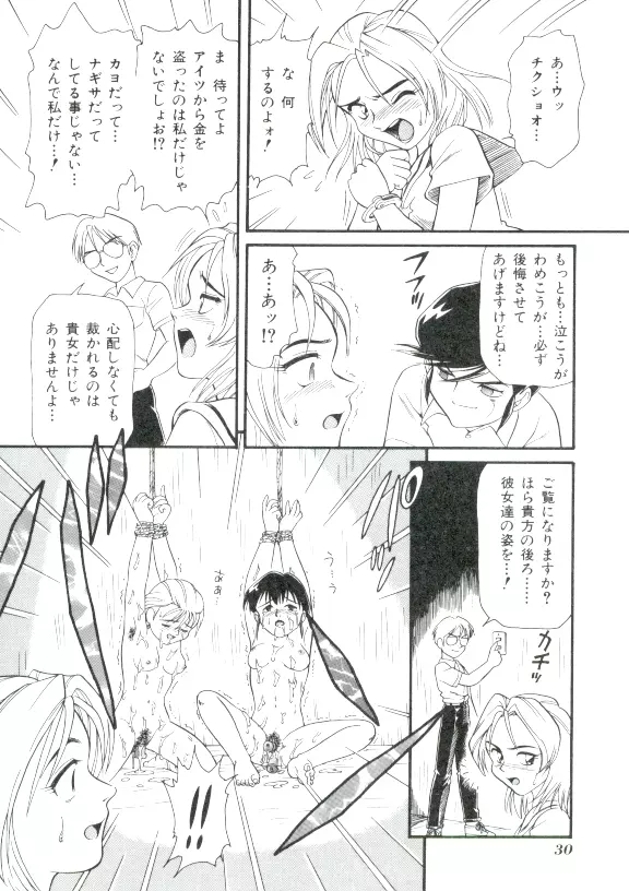 ドキドキ 恥辱画廊 Page.29