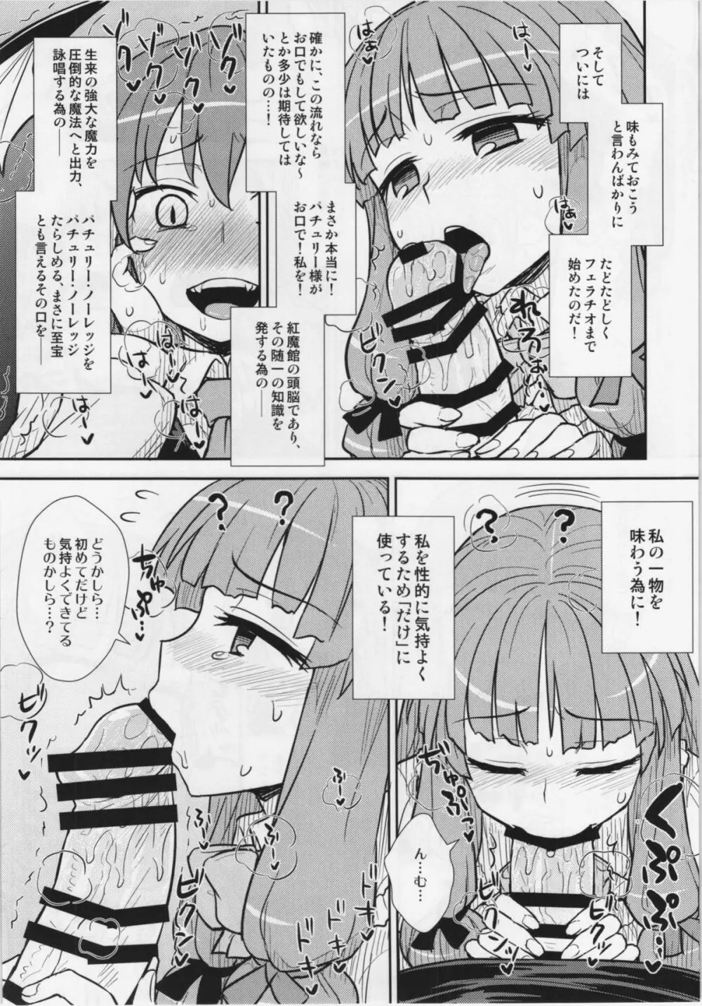 小悪魔のパチュリー観察記 Page.13