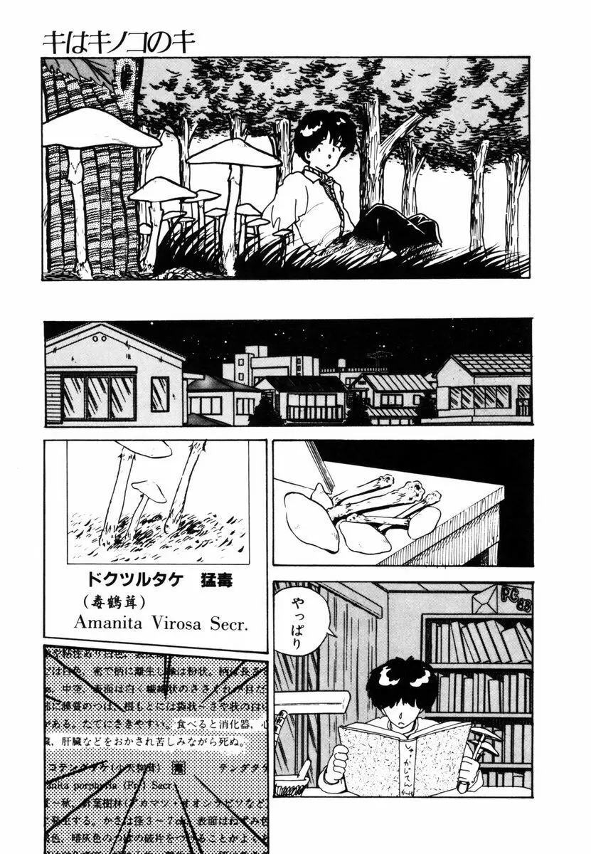 キはキノコのキ Page.14