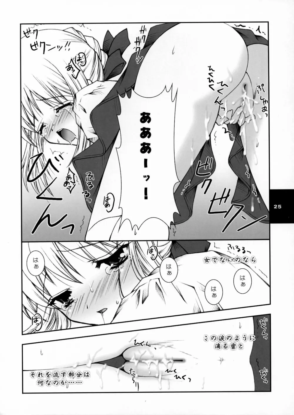 夢の卵の還る刻 Page.24