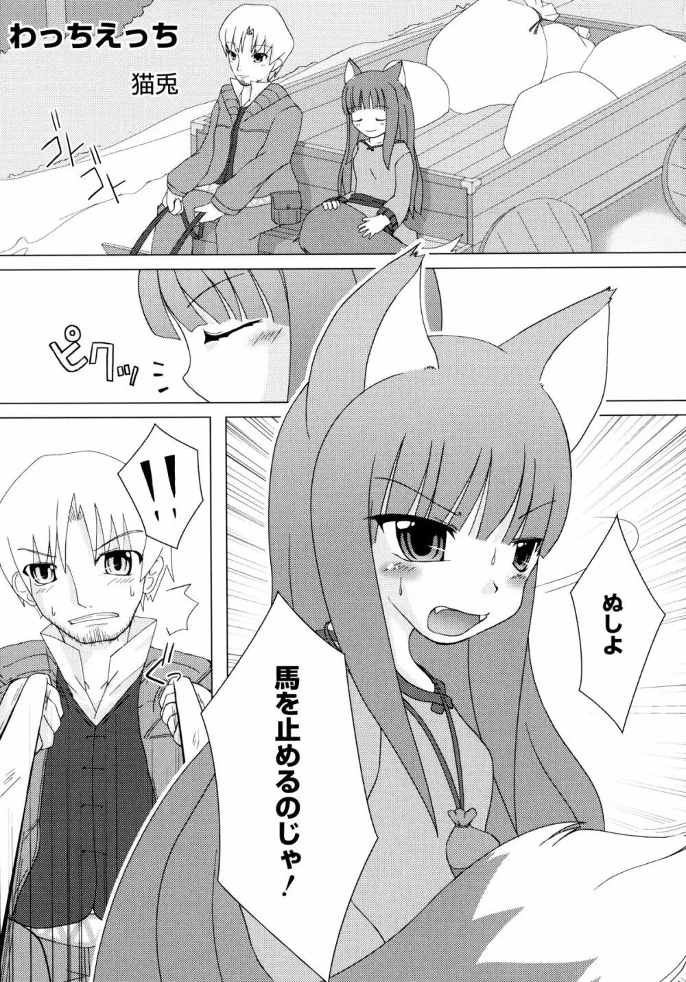 狼娘と淫行の旅 Page.43