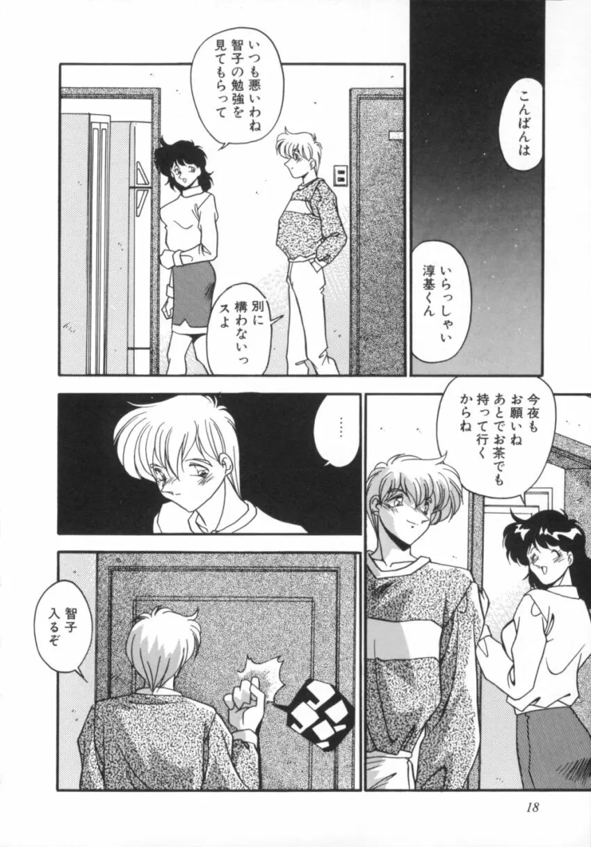 気分はビビデバビデブ Page.23