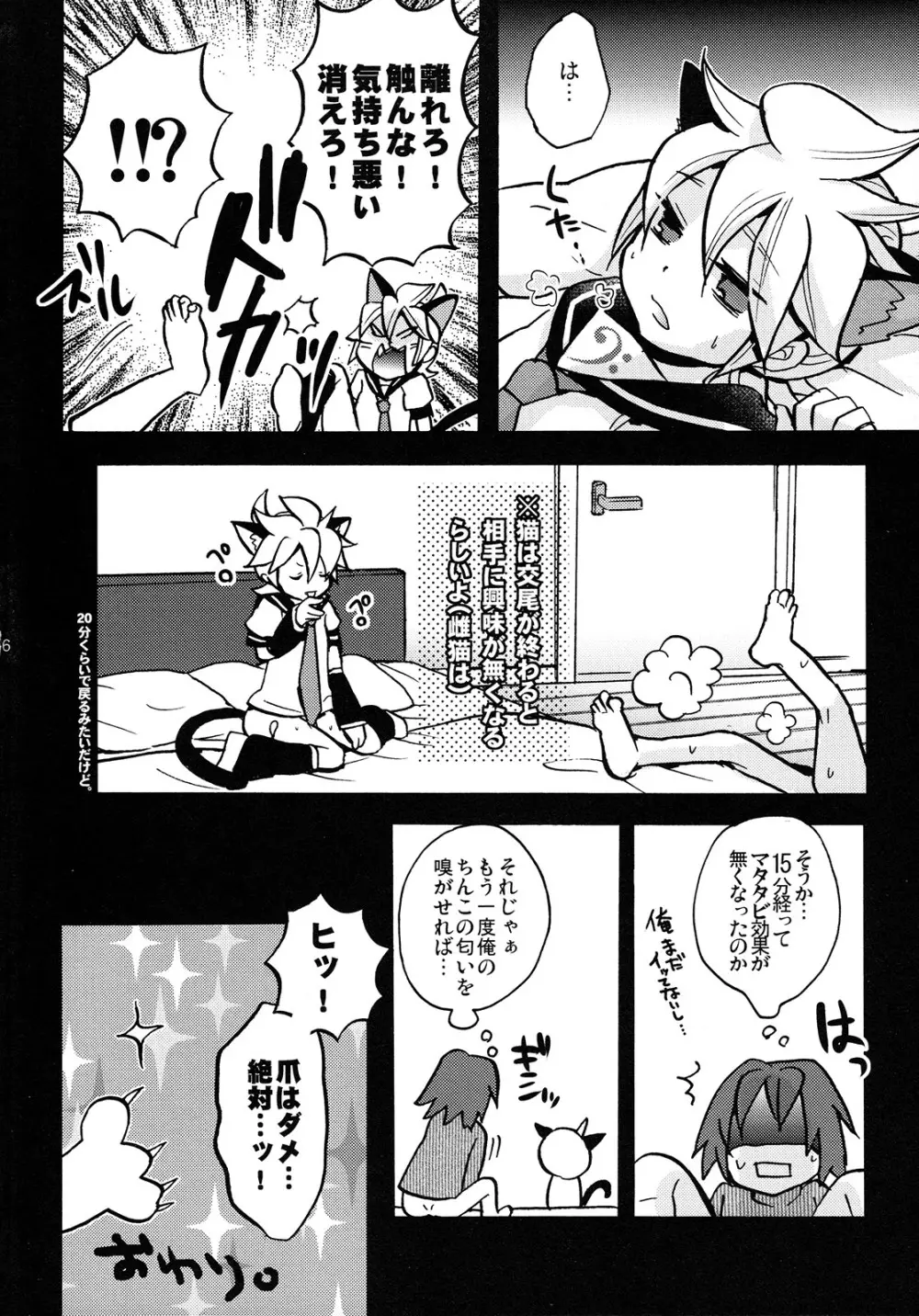 マタマタキャット Page.16