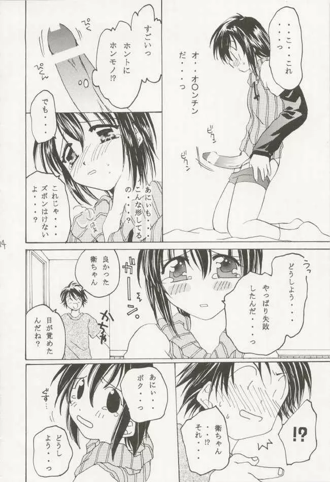 Mamoru: Sister & Brother Page.13