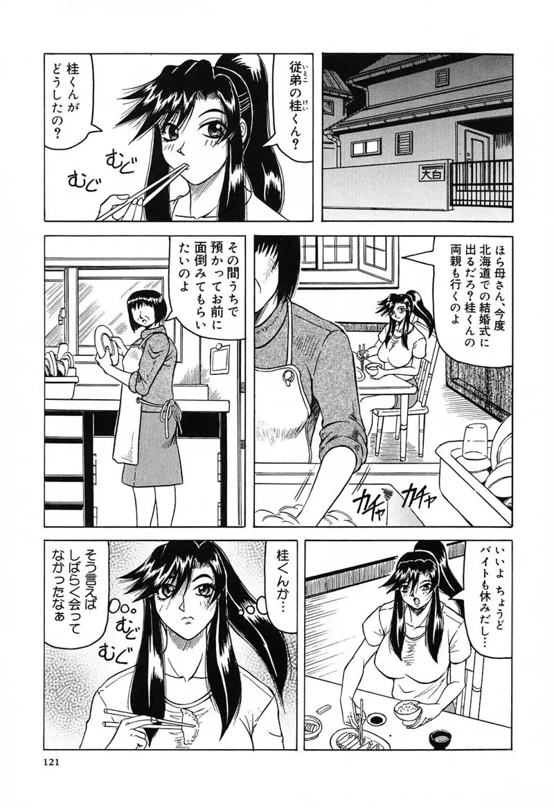 陽射しより彩やかに 月光より妖しく… Page.125