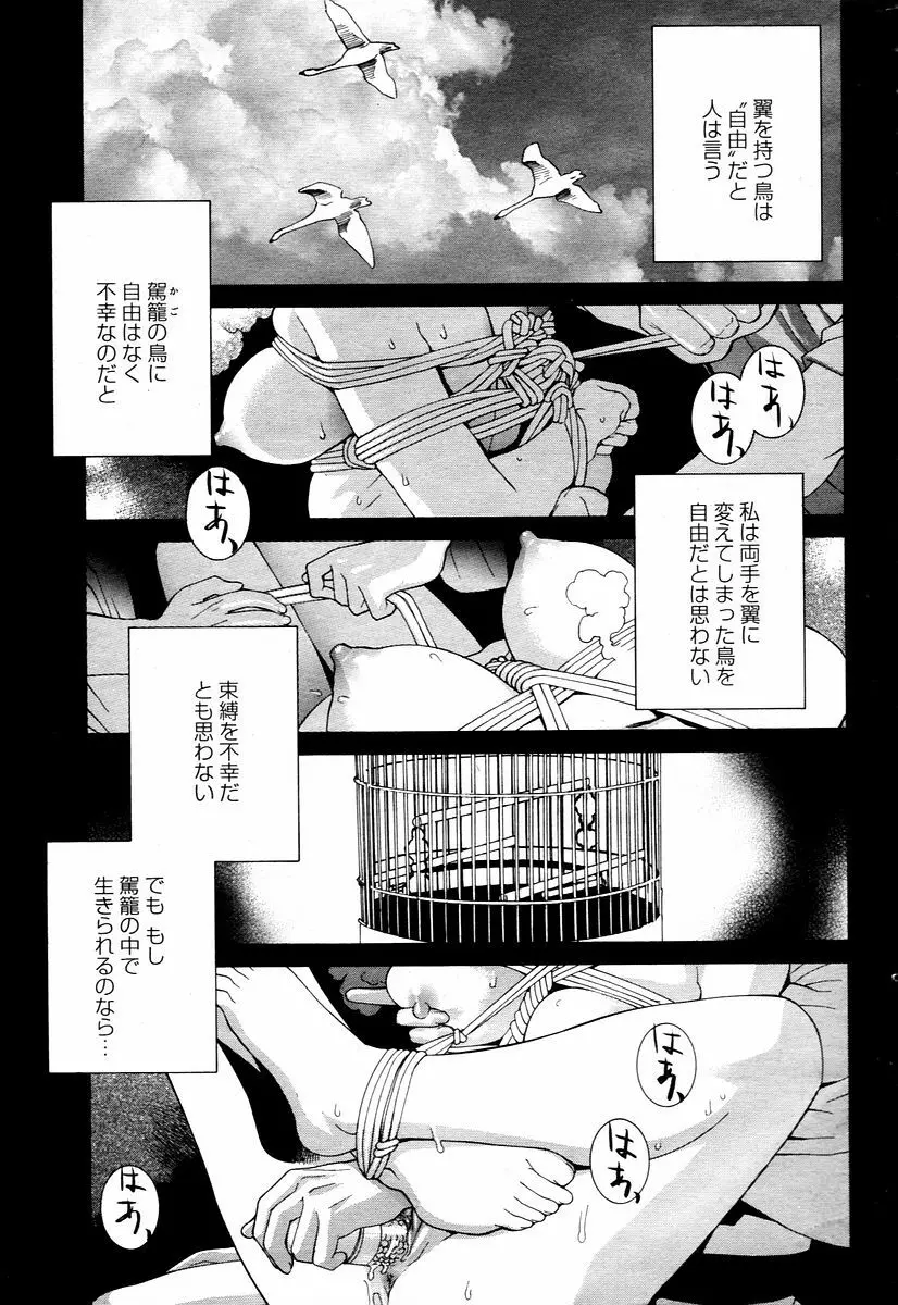 COMIC 桃姫 2006年1月号 Page.165