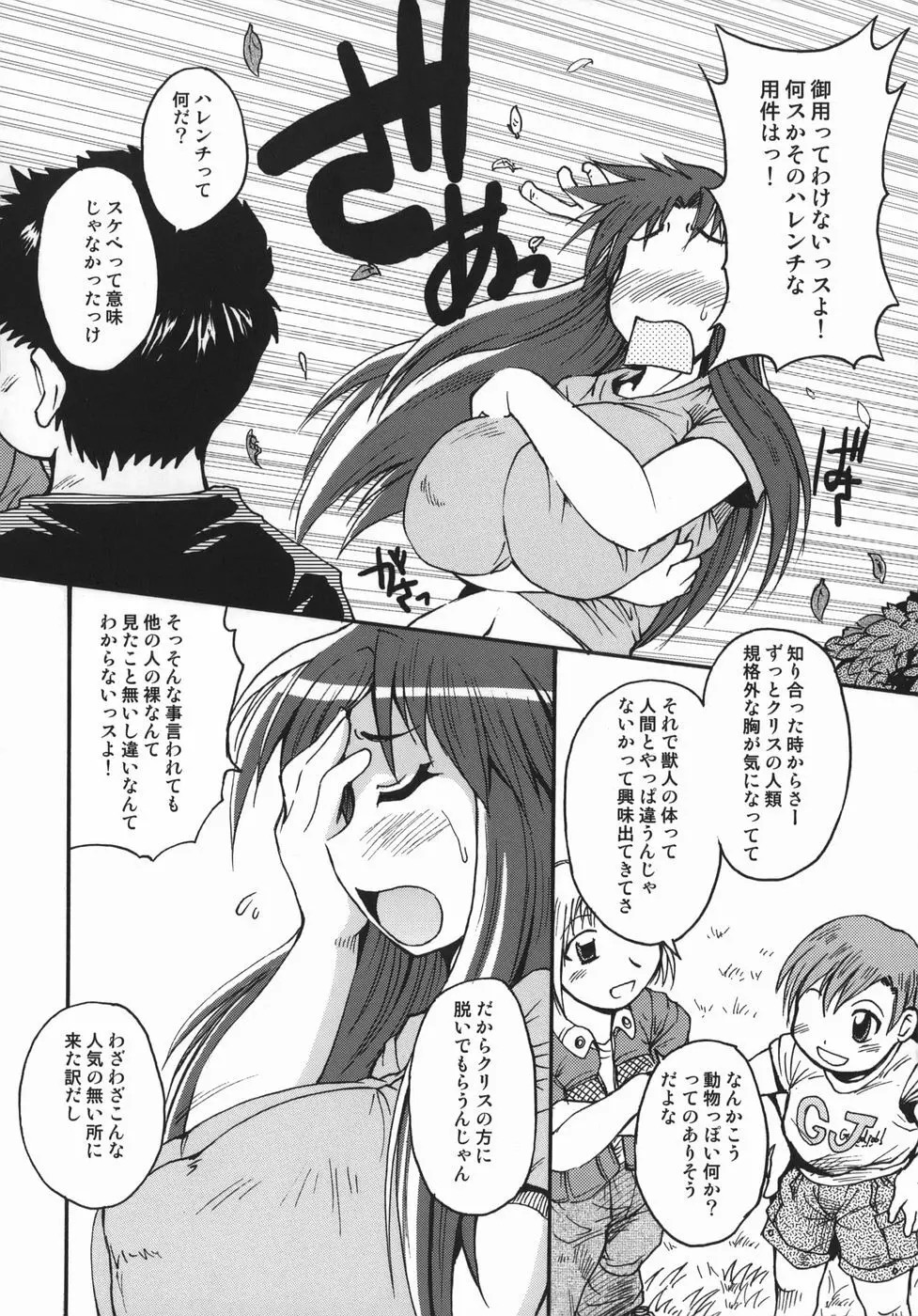 クリス・クラウス Page.12