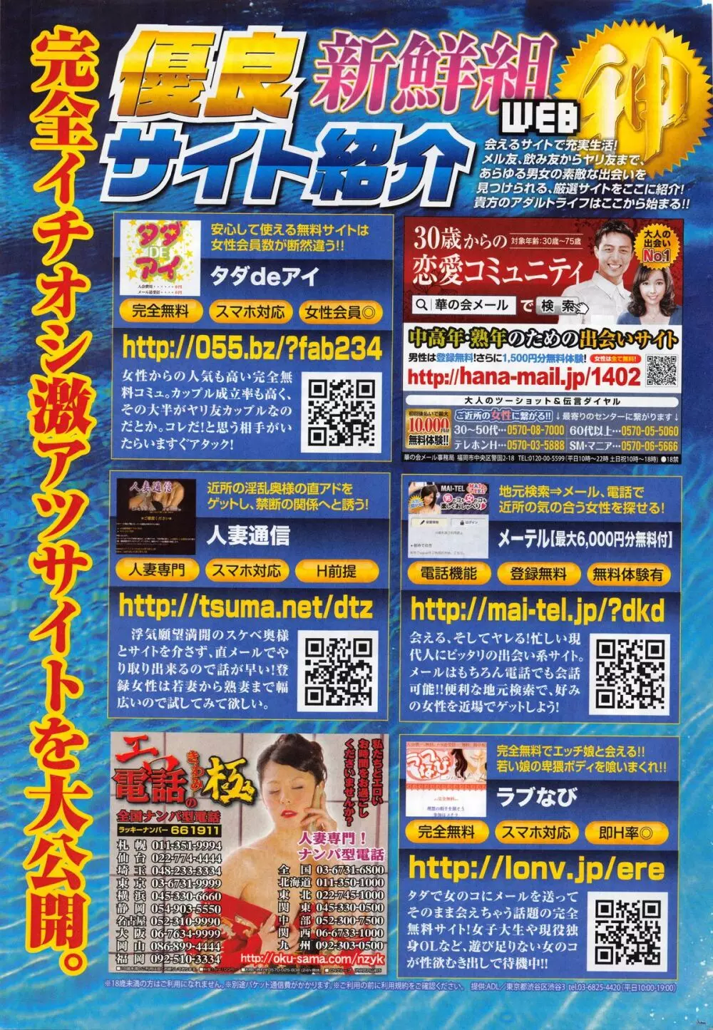 月刊 ビタマン 2016年1月号 Page.265