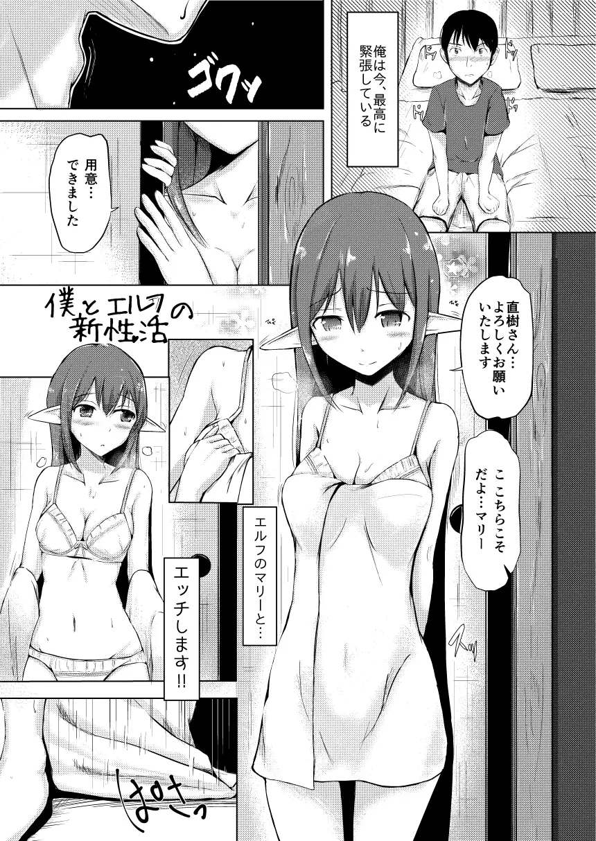 僕とエルフの新性活 Page.3