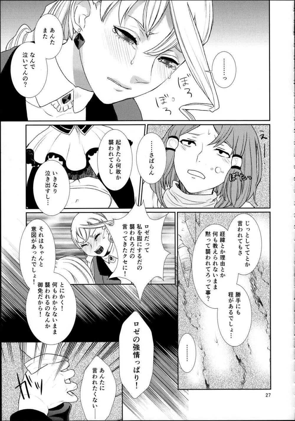 先入知識と接受 Page.27