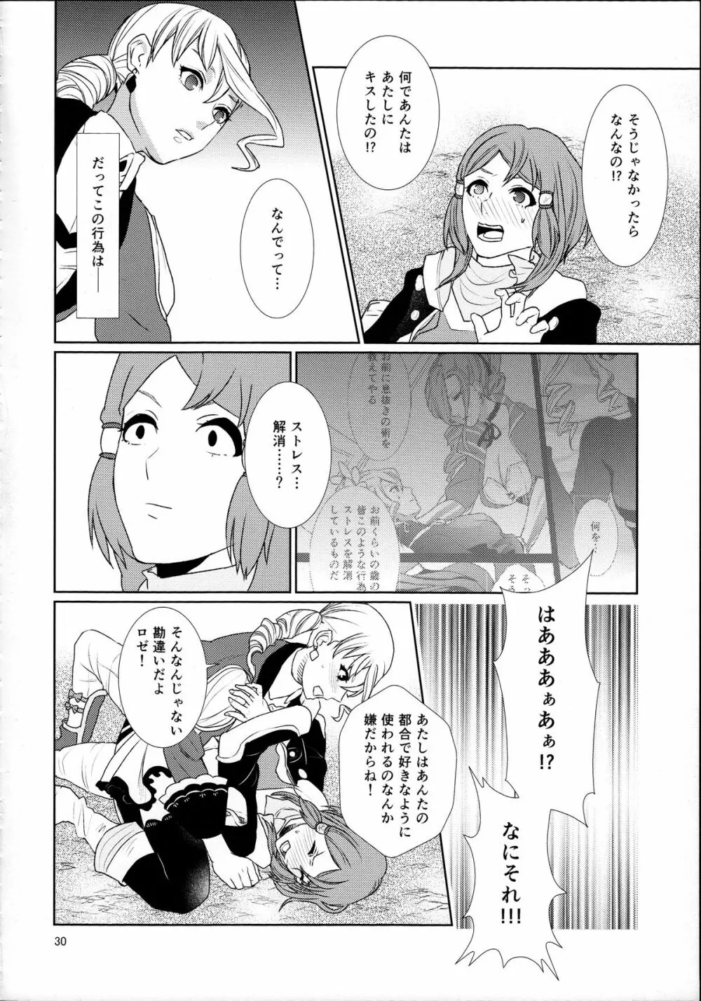 先入知識と接受 Page.30