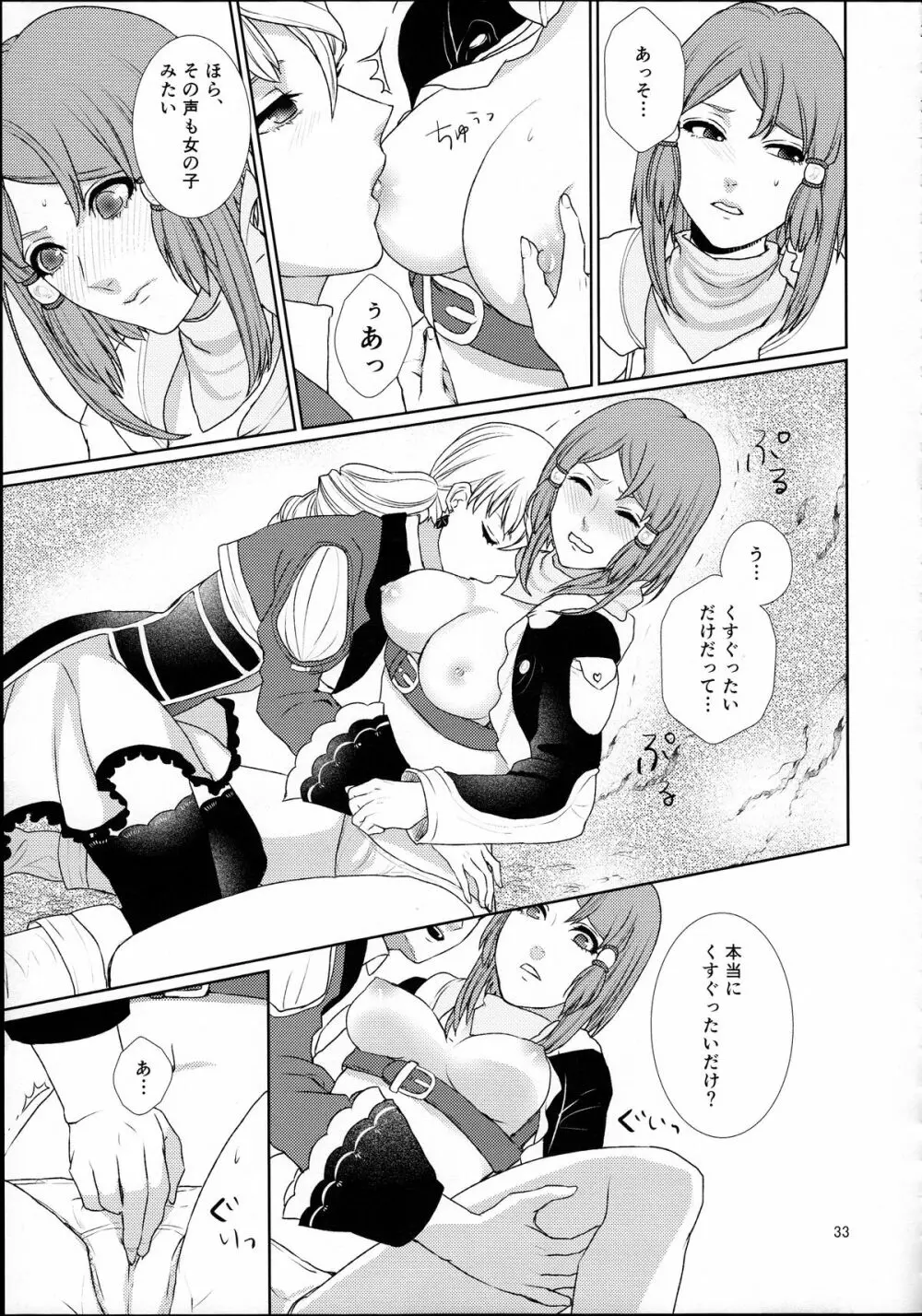 先入知識と接受 Page.33