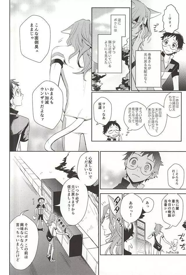 巻島さんが猫になってしまいました。 Page.13