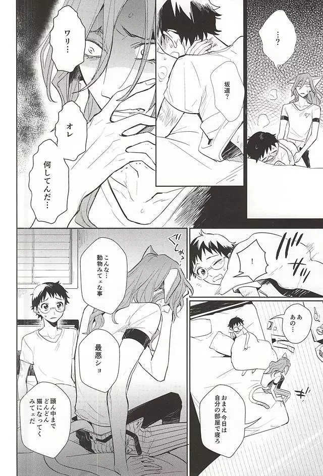 巻島さんが猫になってしまいました。 Page.19