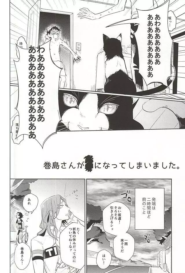 巻島さんが猫になってしまいました。 Page.3