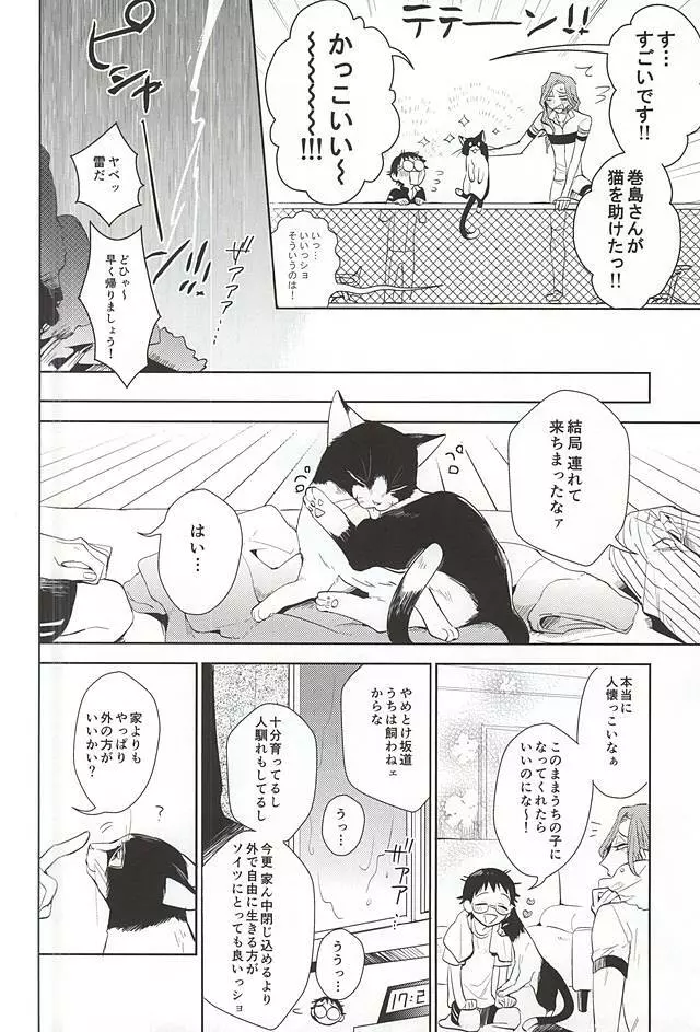 巻島さんが猫になってしまいました。 Page.5