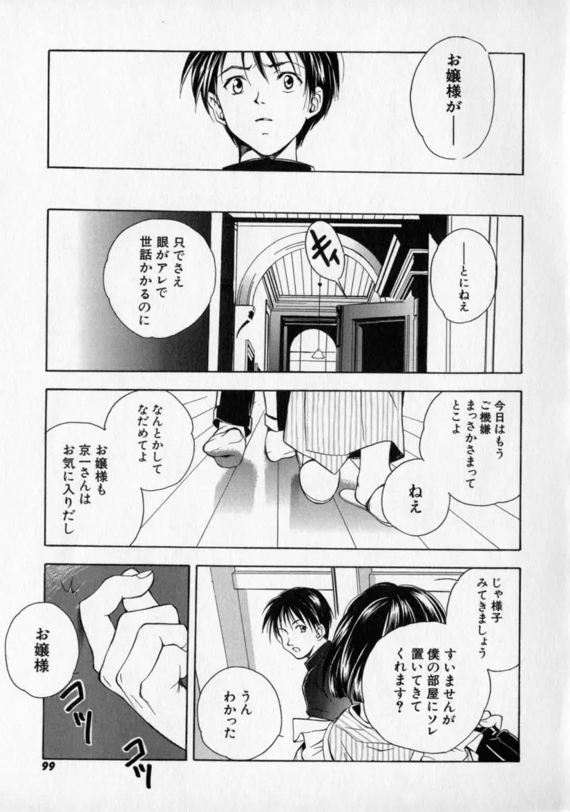 シトロン・ヴェール Page.103