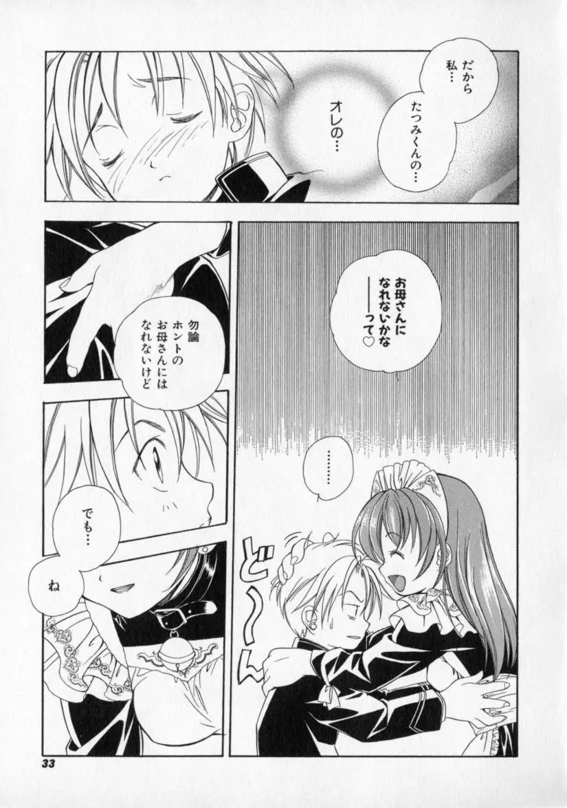 シトロン・ヴェール Page.37