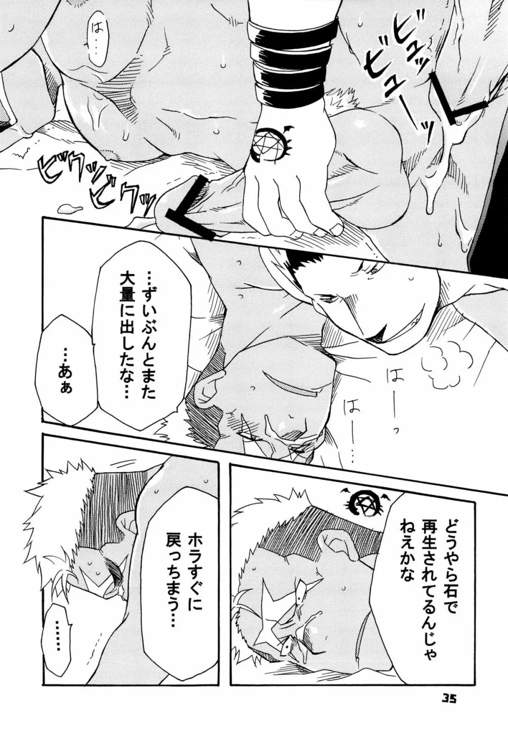 スカーを辱め直す本 Page.35