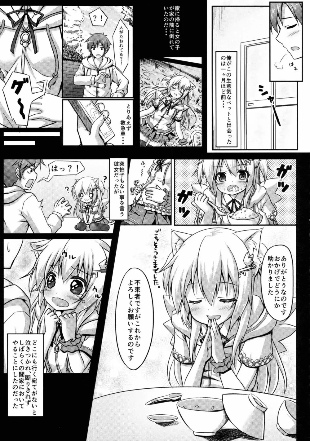 ウチのペット事情 Page.6