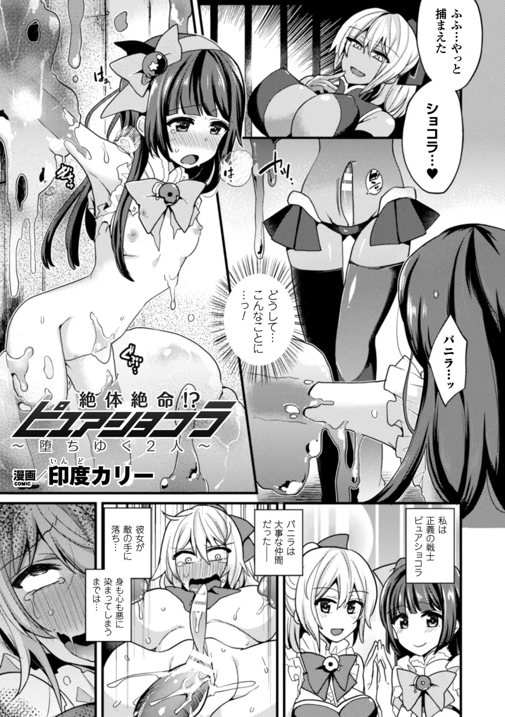 正義のヒロイン姦獄ファイル Vol.4 Page.27