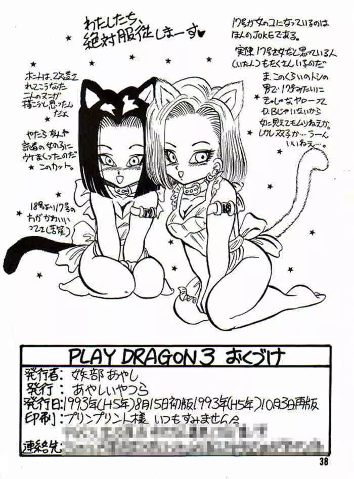 Play Dragon 3 Page.39