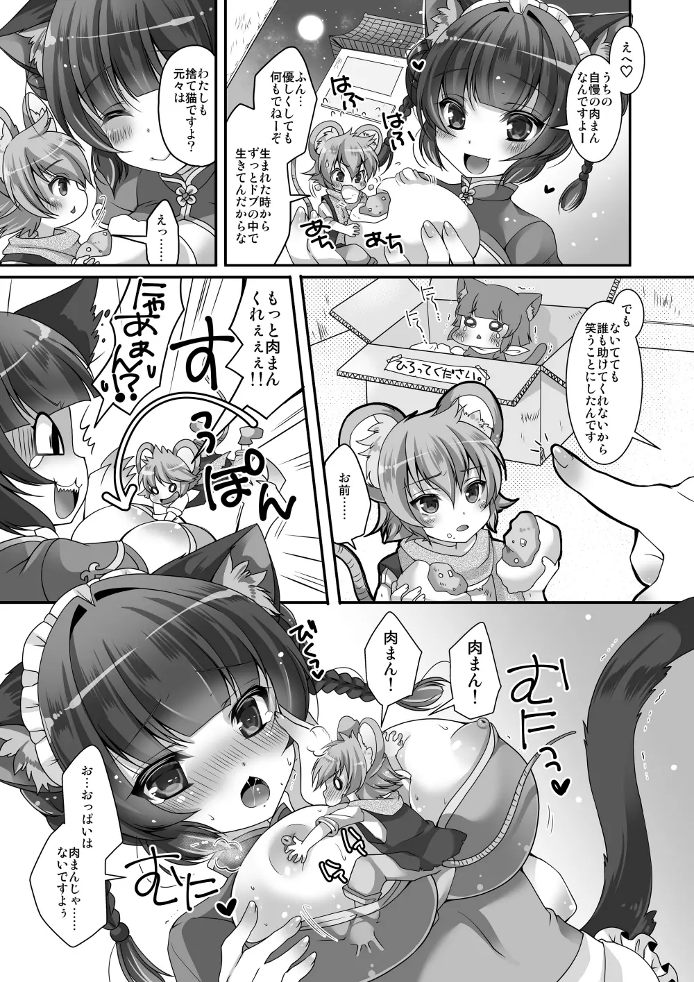 マイクローンマガジン Vol.32 Page.47